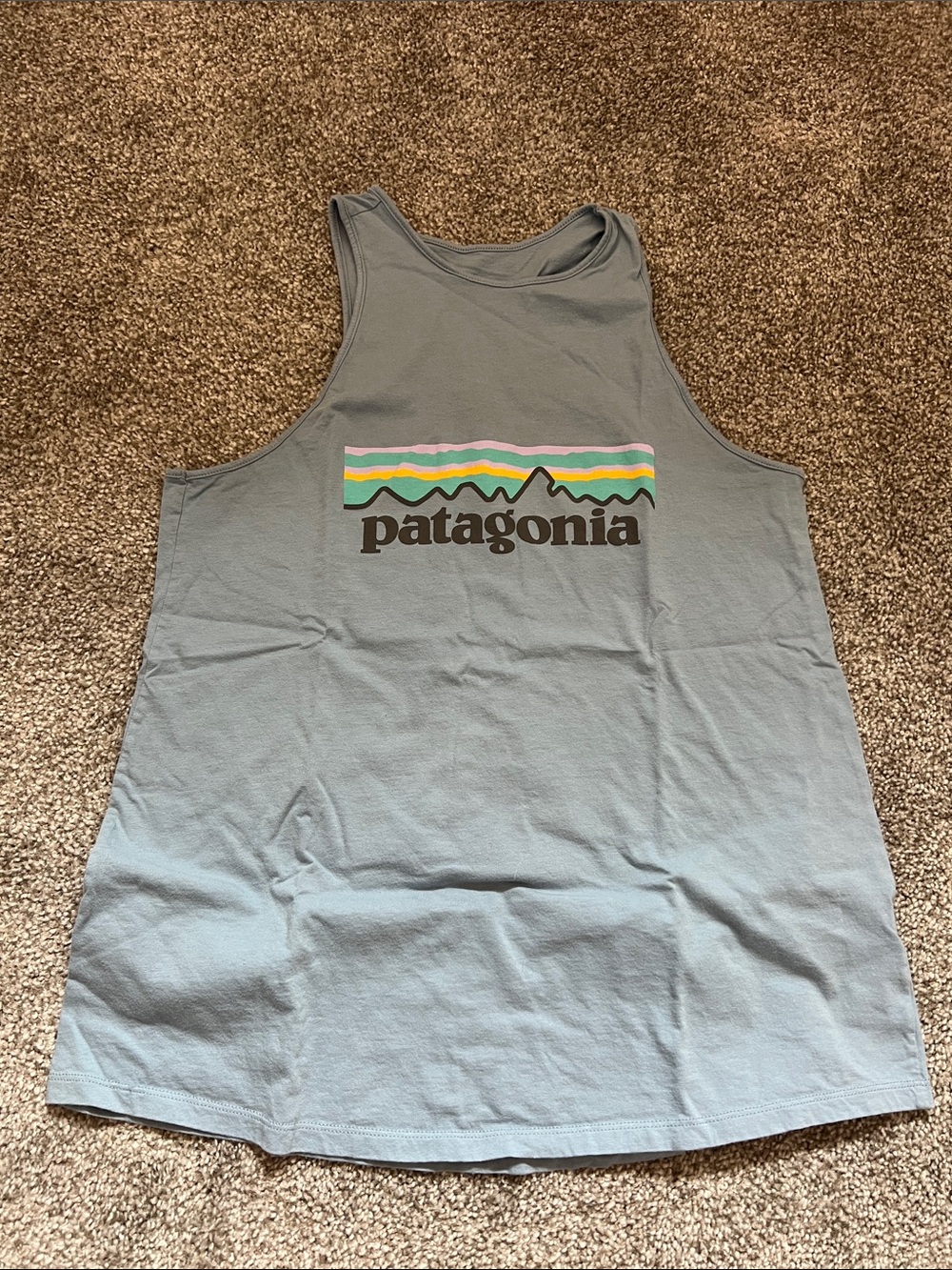 Patagonia Slate Blue Tank with Multicolor Stripe Logo
